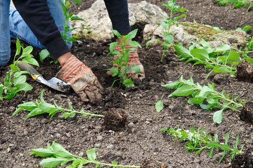 Eco-friendly garden clearance practices in Blackfriars
