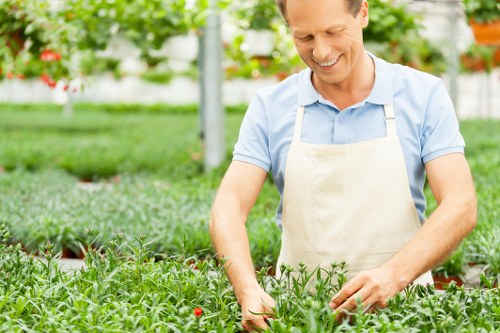 Pruning and trimming services for Blackfriars gardens