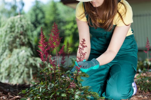 High-visibility operatives setting up exclusion zone for hedge maintenance