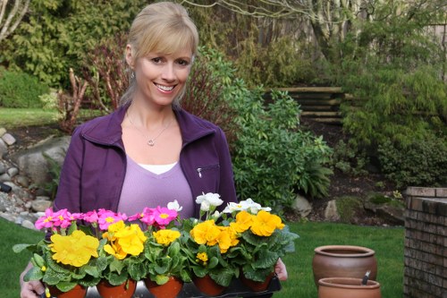 Diverse plant selection for Blackfriars landscapes
